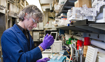 世界级学术指导